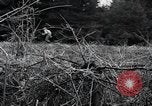 Image of United States 1st Infantry Division Belgium, 1944, second 46 stock footage video 65675071308