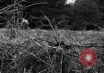 Image of United States 1st Infantry Division Belgium, 1944, second 47 stock footage video 65675071308
