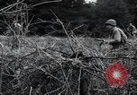 Image of United States 1st Infantry Division Belgium, 1944, second 49 stock footage video 65675071308