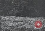 Image of United States 1st Infantry Division Belgium, 1944, second 50 stock footage video 65675071308