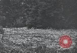 Image of United States 1st Infantry Division Belgium, 1944, second 51 stock footage video 65675071308