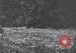 Image of United States 1st Infantry Division Belgium, 1944, second 52 stock footage video 65675071308
