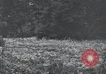 Image of United States 1st Infantry Division Belgium, 1944, second 53 stock footage video 65675071308