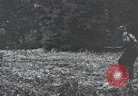 Image of United States 1st Infantry Division Belgium, 1944, second 54 stock footage video 65675071308