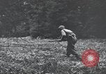 Image of United States 1st Infantry Division Belgium, 1944, second 56 stock footage video 65675071308