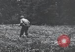 Image of United States 1st Infantry Division Belgium, 1944, second 59 stock footage video 65675071308