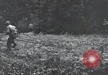 Image of United States 1st Infantry Division Belgium, 1944, second 61 stock footage video 65675071308