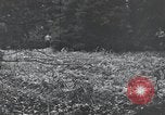 Image of United States 1st Infantry Division Belgium, 1944, second 62 stock footage video 65675071308