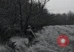 Immagine di Stati Uniti 1° Divisione Belgio, 1944, secondo 8 filmato di repertorio 65675071309