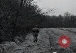 Immagine di Stati Uniti 1° Divisione Belgio, 1944, secondo 17 filmato di repertorio 65675071309
