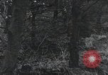 Immagine di Stati Uniti 1° Divisione Belgio, 1944, secondo 27 filmato di repertorio 65675071309