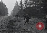 Immagine di Stati Uniti 1° Divisione Belgio, 1944, secondo 33 filmato di repertorio 65675071309