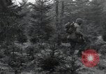 Immagine di Stati Uniti 1° Divisione Belgio, 1944, secondo 60 filmato di repertorio 65675071309