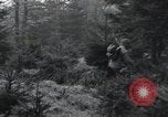 Immagine di Stati Uniti 1° Divisione Belgio, 1944, secondo 62 filmato di repertorio 65675071309