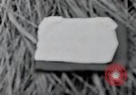 Image États-Unis 1ère Division Belgique, 1944, de la seconde 4 séquences d'archives historiques vidéo 65675071310