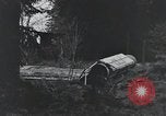 Image États-Unis 1ère Division Belgique, 1944, de la seconde 8 séquences d'archives historiques vidéo 65675071310