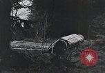 Image États-Unis 1ère Division Belgique, 1944, de la seconde 11 séquences d'archives historiques vidéo 65675071310