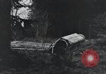 Image États-Unis 1ère Division Belgique, 1944, de la seconde 12 séquences d'archives historiques vidéo 65675071310