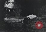 Image États-Unis 1ère Division Belgique, 1944, de la seconde 13 séquences d'archives historiques vidéo 65675071310