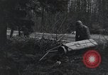 Image États-Unis 1ère Division Belgique, 1944, de la seconde 17 séquences d'archives historiques vidéo 65675071310