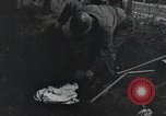 Image États-Unis 1ère Division Belgique, 1944, de la seconde 22 séquences d'archives historiques vidéo 65675071310