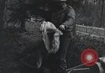 Image États-Unis 1ère Division Belgique, 1944, de la seconde 25 séquences d'archives historiques vidéo 65675071310