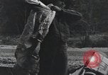 Image États-Unis 1ère Division Belgique, 1944, de la seconde 30 séquences d'archives historiques vidéo 65675071310