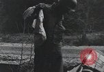 Image États-Unis 1ère Division Belgique, 1944, de la seconde 34 séquences d'archives historiques vidéo 65675071310
