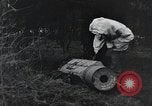 Image États-Unis 1ère Division Belgique, 1944, de la seconde 44 séquences d'archives historiques vidéo 65675071310