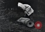 Image États-Unis 1ère Division Belgique, 1944, de la seconde 45 séquences d'archives historiques vidéo 65675071310