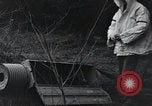 Image États-Unis 1ère Division Belgique, 1944, de la seconde 52 séquences d'archives historiques vidéo 65675071310