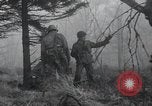 Immagine di Stati Uniti 1° Divisione Belgio, 1944, secondo 15 filmato di repertorio 65675071311