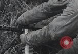 Immagine di Stati Uniti 1° Divisione Belgio, 1944, secondo 25 filmato di repertorio 65675071311