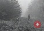 Immagine di Stati Uniti 1° Divisione Belgio, 1944, secondo 29 filmato di repertorio 65675071311