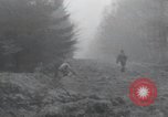 Immagine di Stati Uniti 1° Divisione Belgio, 1944, secondo 31 filmato di repertorio 65675071311