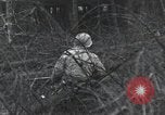 Immagine di Stati Uniti 1° Divisione Belgio, 1944, secondo 49 filmato di repertorio 65675071311