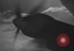 Image of Kampfgeschwader Luetzow excerpt of World War II German attack European Theater, 1941, second 3 stock footage video 65675071330