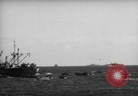Immagine di Invasione anfibia Iwo Jima, 1945, secondo 50 filmato di repertorio 65675071344