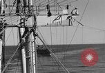 Image of invasion activiries Iwo Jima, 1945, second 3 stock footage video 65675071353