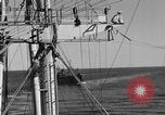 Image of invasion activiries Iwo Jima, 1945, second 6 stock footage video 65675071353