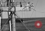 Image of invasion activiries Iwo Jima, 1945, second 7 stock footage video 65675071353