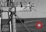 Image of invasion activiries Iwo Jima, 1945, second 8 stock footage video 65675071353