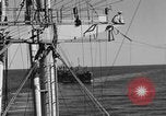 Image of invasion activiries Iwo Jima, 1945, second 9 stock footage video 65675071353