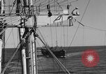 Image of invasion activiries Iwo Jima, 1945, second 12 stock footage video 65675071353