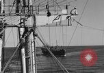 Image of invasion activiries Iwo Jima, 1945, second 13 stock footage video 65675071353