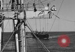 Image of invasion activiries Iwo Jima, 1945, second 17 stock footage video 65675071353