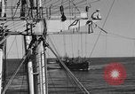Image of invasion activiries Iwo Jima, 1945, second 18 stock footage video 65675071353