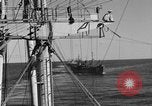 Image of invasion activiries Iwo Jima, 1945, second 21 stock footage video 65675071353