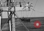 Image of invasion activiries Iwo Jima, 1945, second 22 stock footage video 65675071353