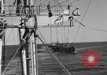 Image of invasion activiries Iwo Jima, 1945, second 23 stock footage video 65675071353